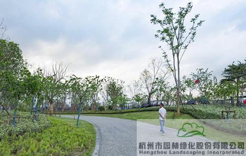 彩运网(中国游)官方网站