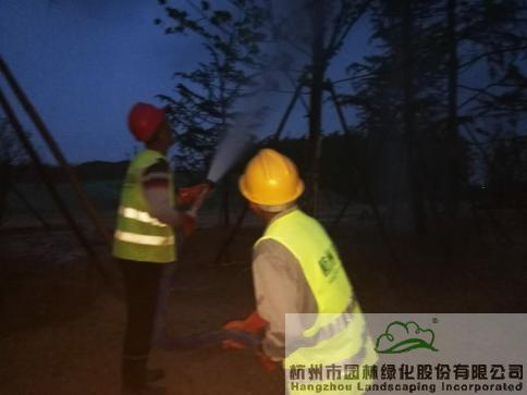 彩运网(中国游)官方网站