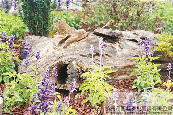 彩运网(中国游)官方网站