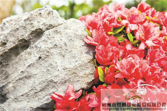 彩运网(中国游)官方网站