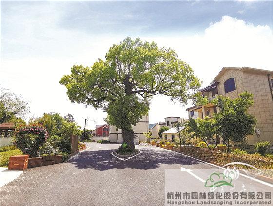 彩运网(中国游)官方网站