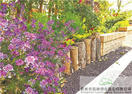 彩运网(中国游)官方网站