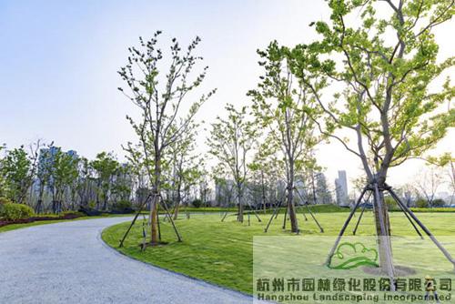 彩运网(中国游)官方网站