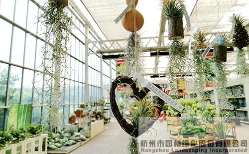 彩运网(中国游)官方网站