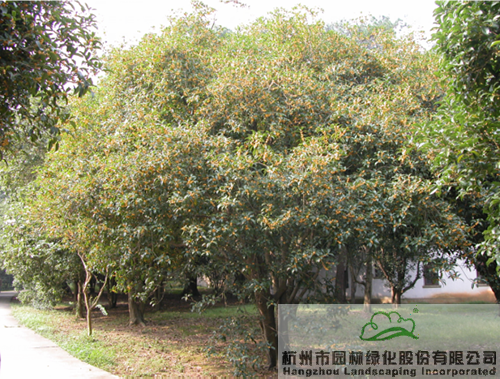 彩运网(中国游)官方网站