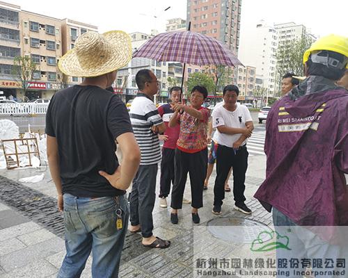 彩运网(中国游)官方网站