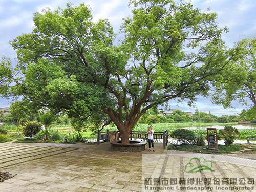 彩运网(中国游)官方网站