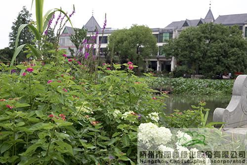 彩运网(中国游)官方网站