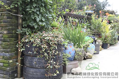 彩运网(中国游)官方网站