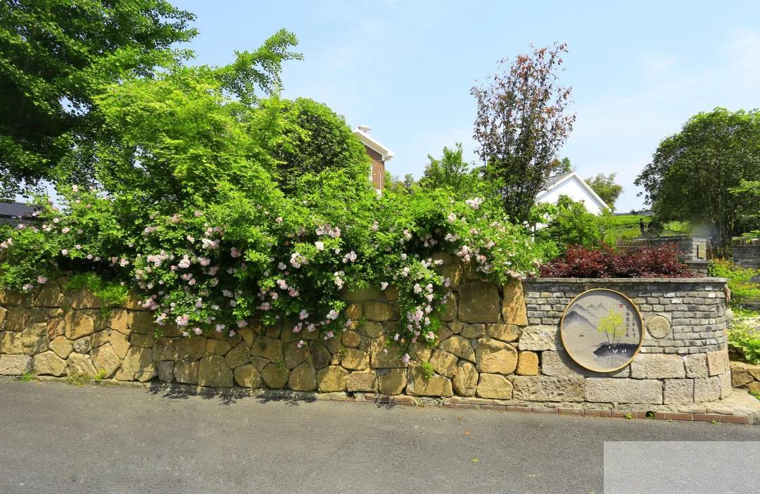 彩运网(中国游)官方网站