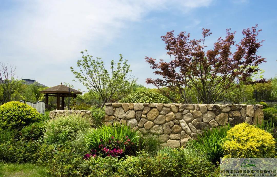 彩运网(中国游)官方网站