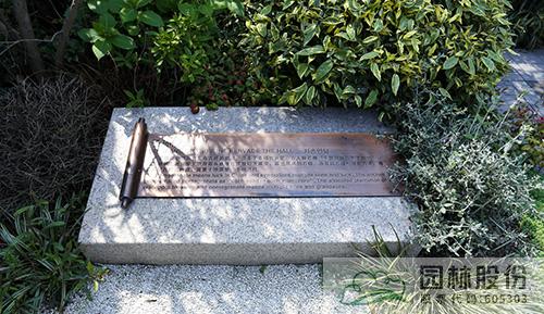 彩运网(中国游)官方网站