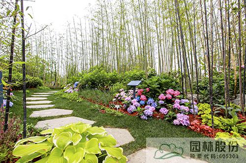 彩运网(中国游)官方网站