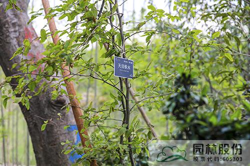 彩运网(中国游)官方网站