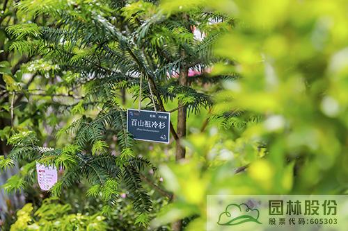 彩运网(中国游)官方网站