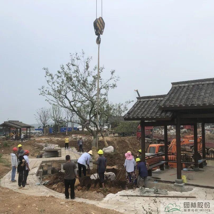 彩运网(中国游)官方网站