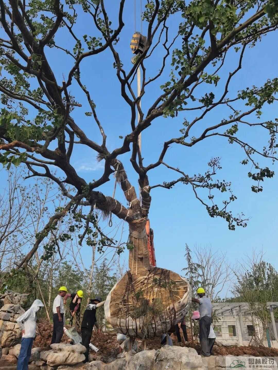 彩运网(中国游)官方网站