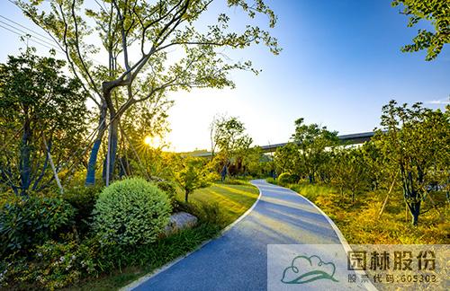 彩运网(中国游)官方网站