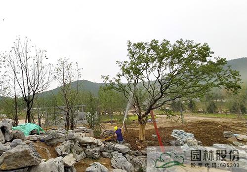 彩运网(中国游)官方网站