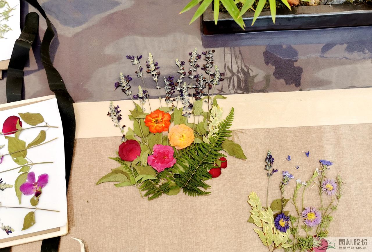 彩运网(中国游)官方网站