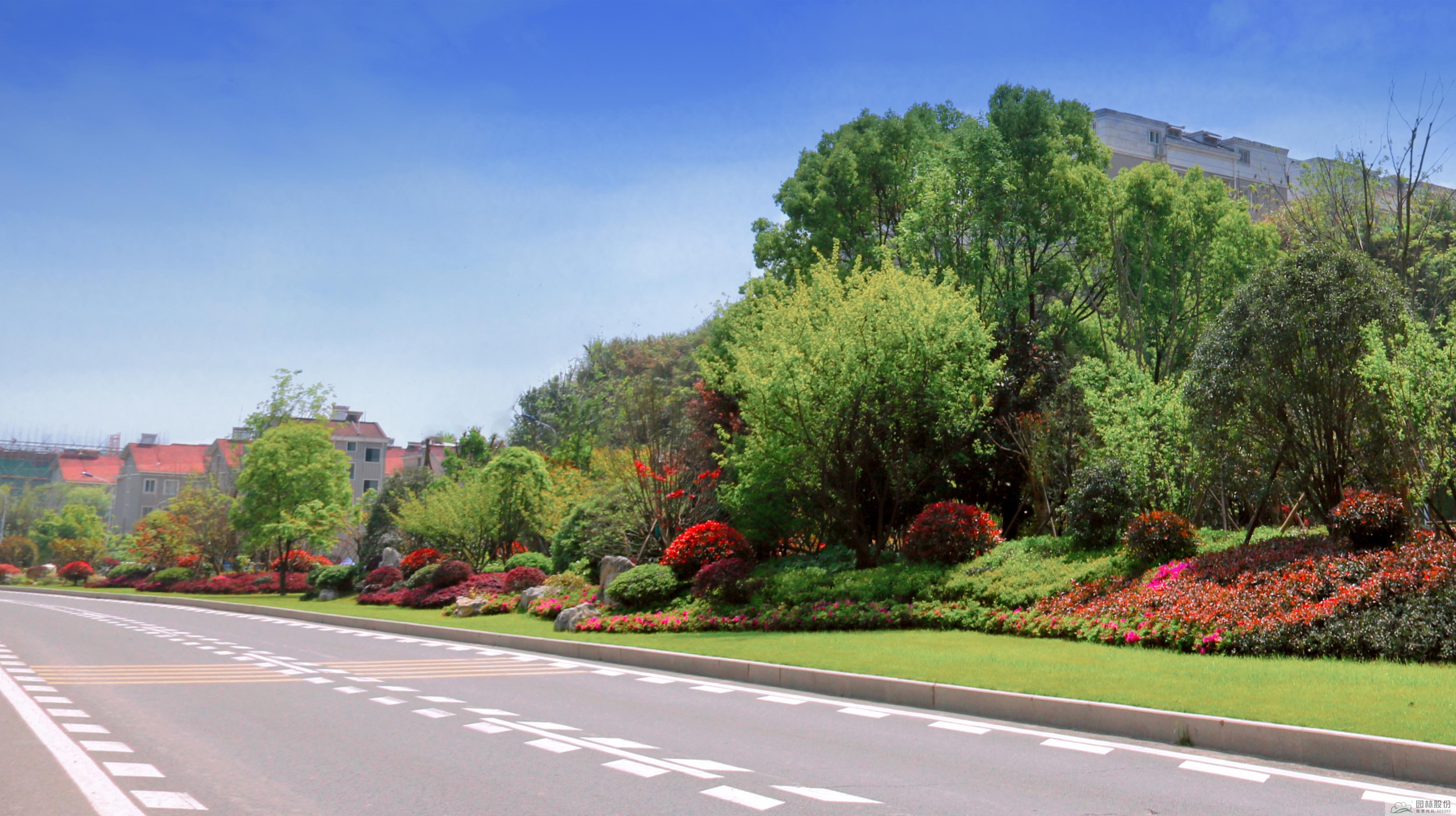 彩运网(中国游)官方网站