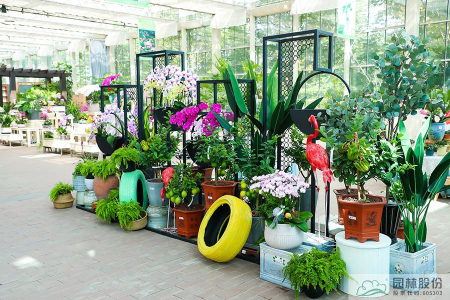 彩运网(中国游)官方网站