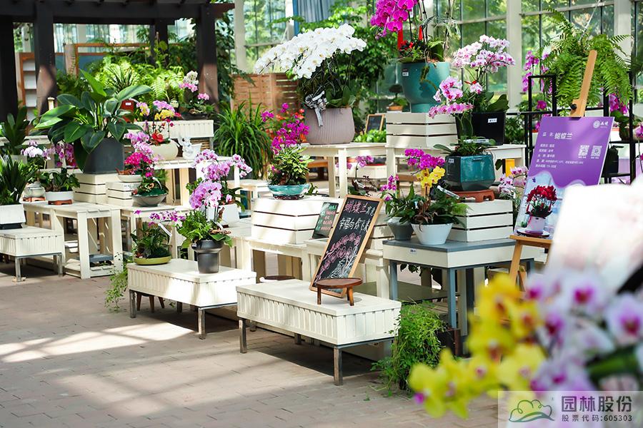 彩运网(中国游)官方网站