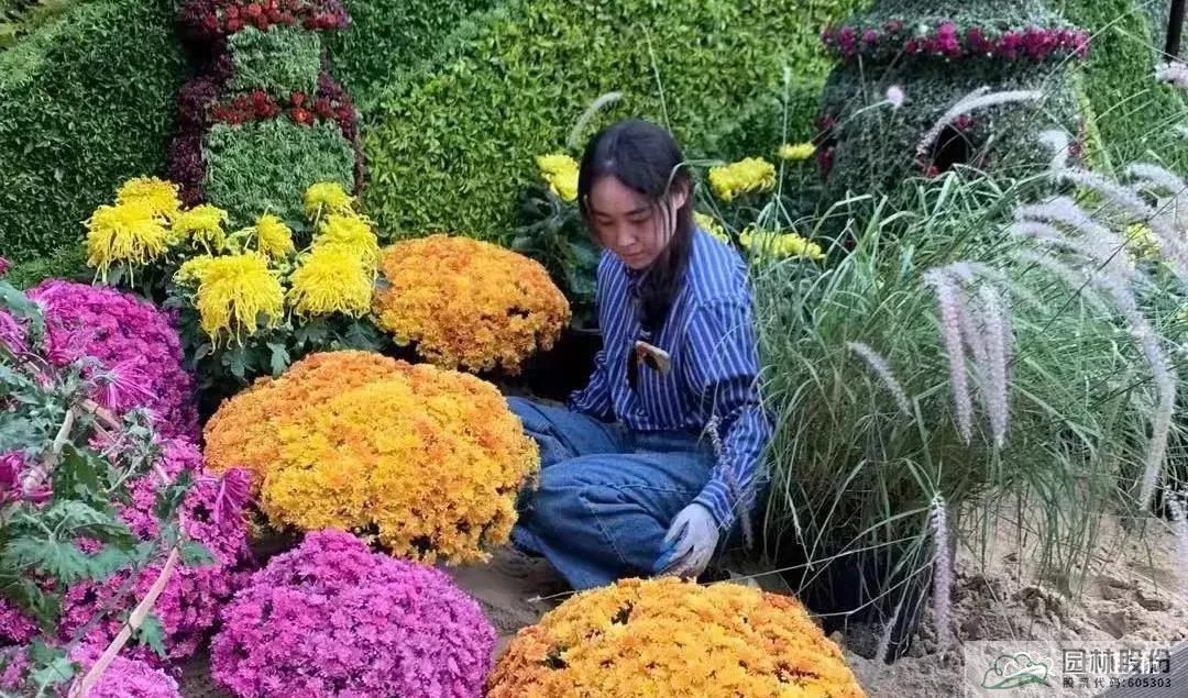 彩运网(中国游)官方网站