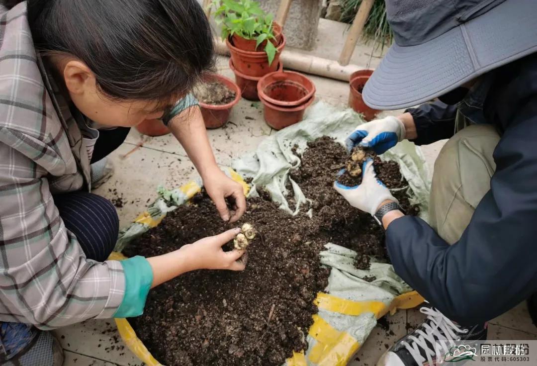 彩运网(中国游)官方网站