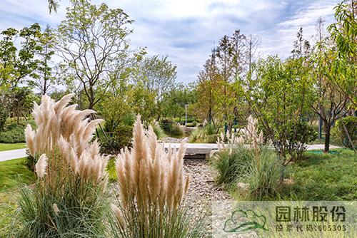 彩运网(中国游)官方网站