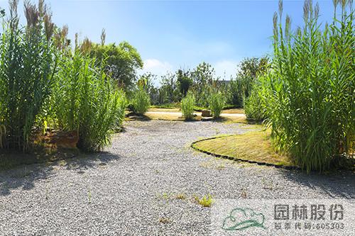 彩运网(中国游)官方网站