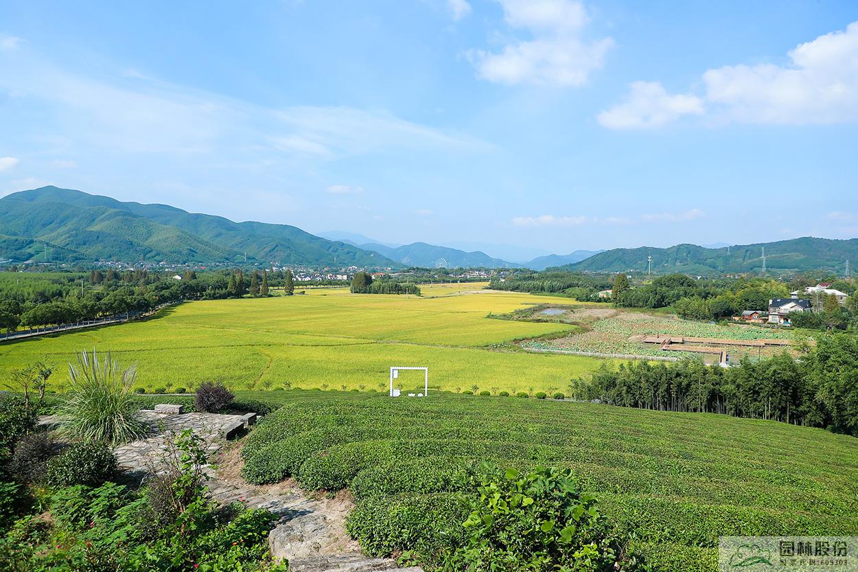 彩运网(中国游)官方网站