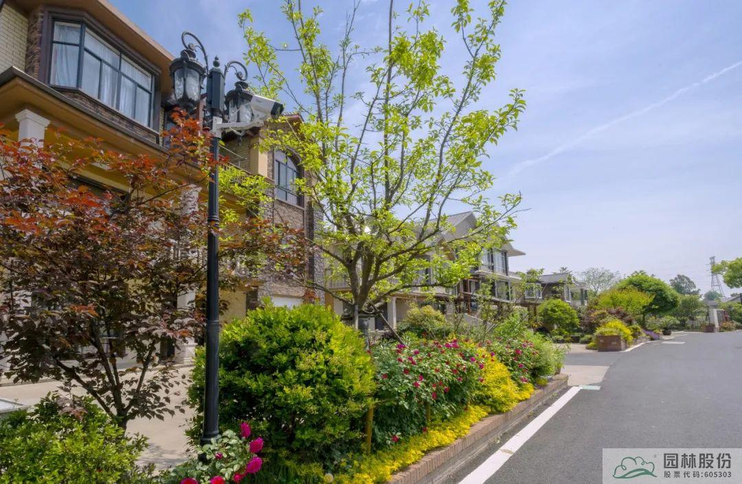 彩运网(中国游)官方网站