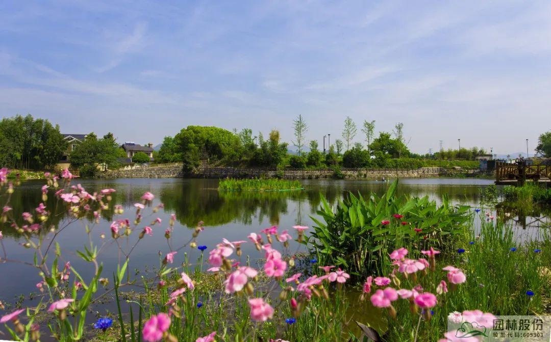 彩运网(中国游)官方网站