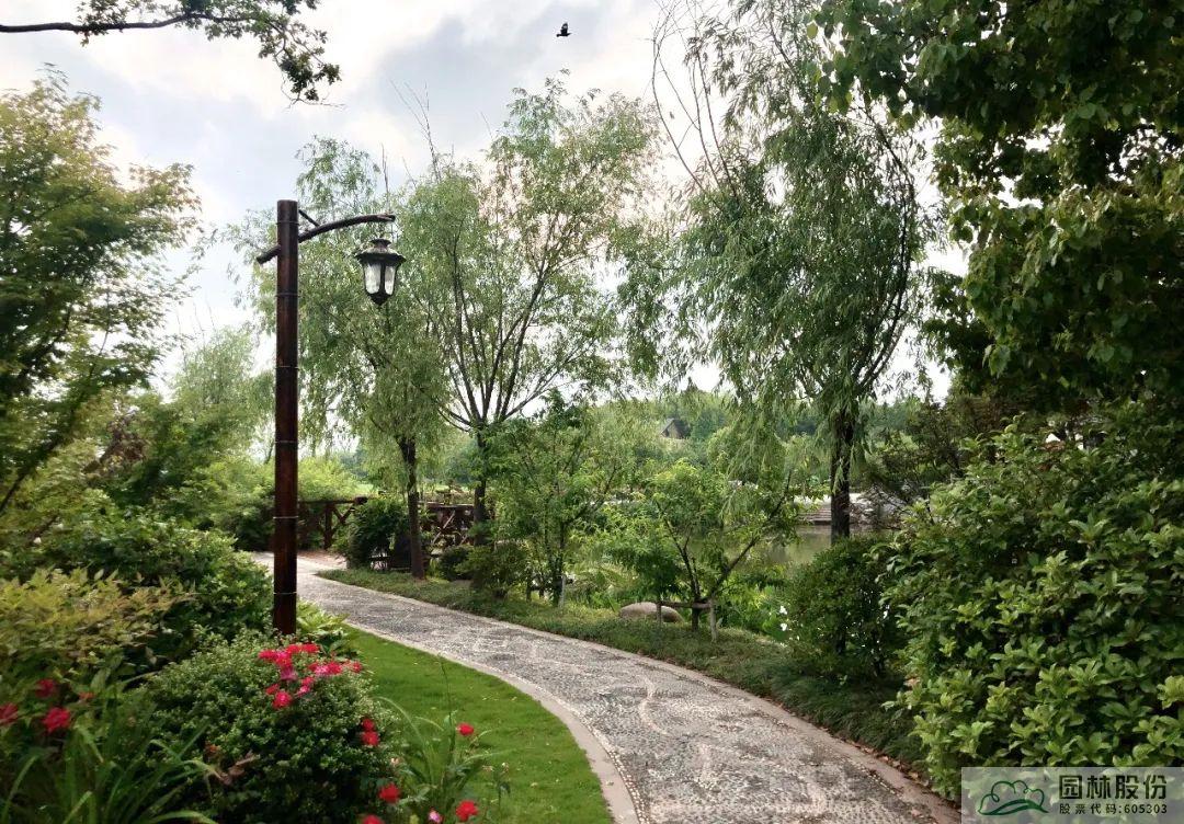 彩运网(中国游)官方网站