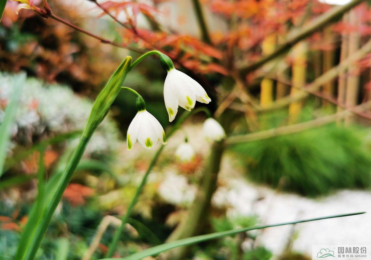 彩运网(中国游)官方网站