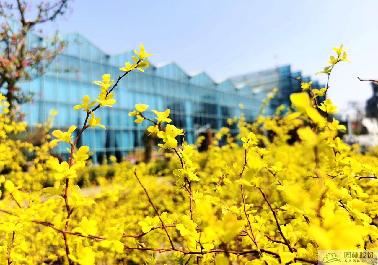 彩运网(中国游)官方网站