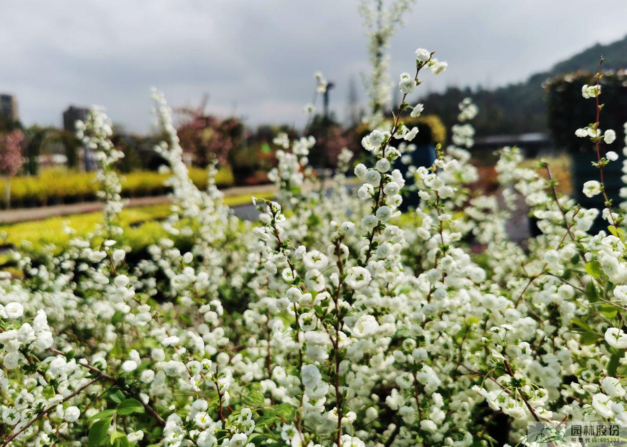 彩运网(中国游)官方网站