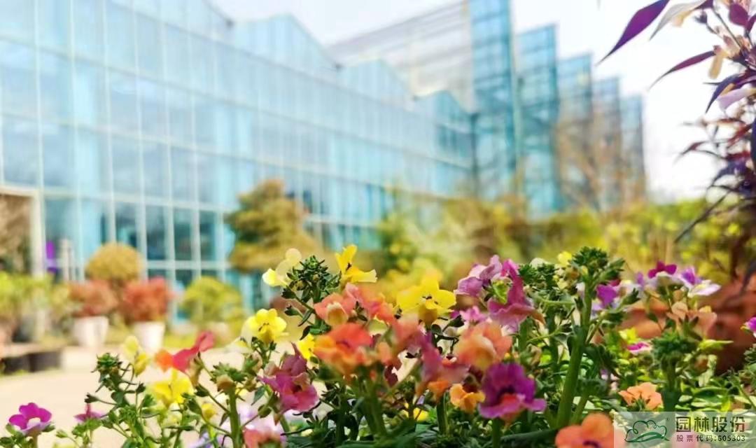 彩运网(中国游)官方网站