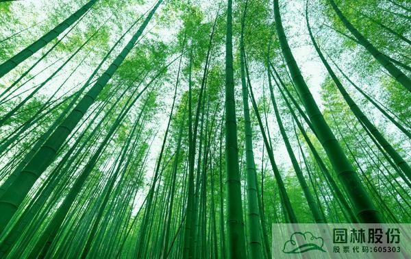 彩运网(中国游)官方网站