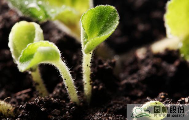 彩运网(中国游)官方网站