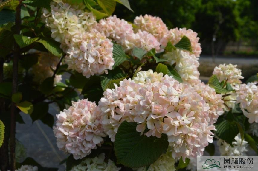 彩运网(中国游)官方网站