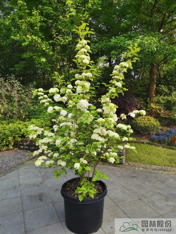 彩运网(中国游)官方网站