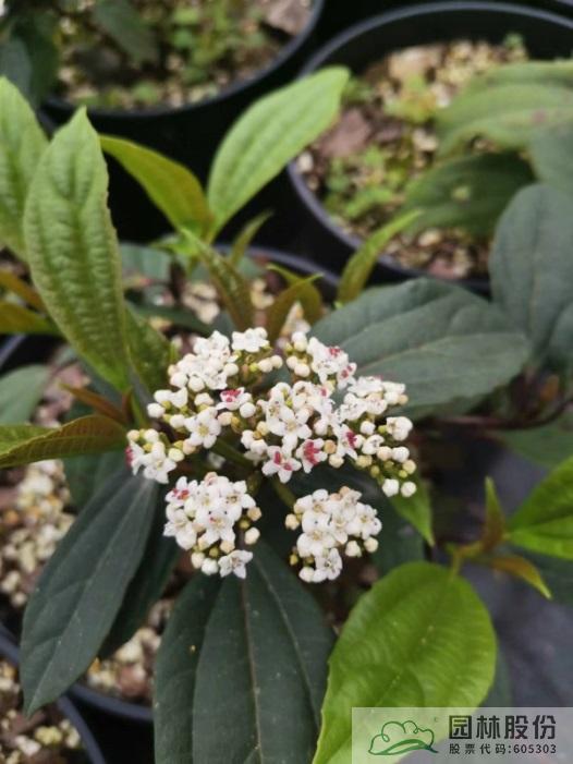 彩运网(中国游)官方网站