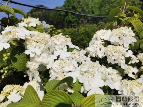 彩运网(中国游)官方网站