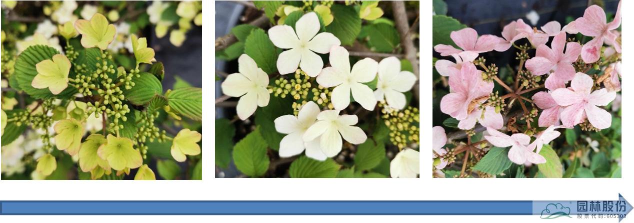 彩运网(中国游)官方网站