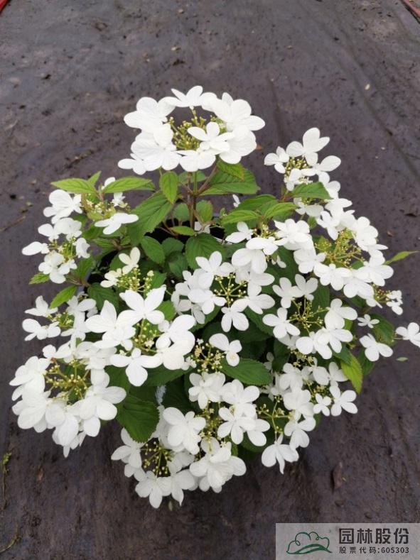 彩运网(中国游)官方网站