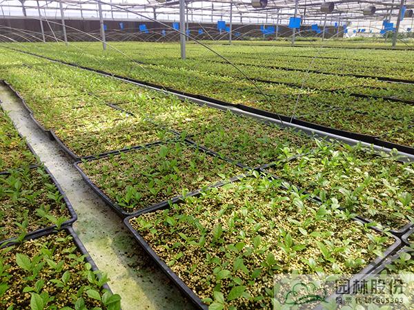 彩运网(中国游)官方网站