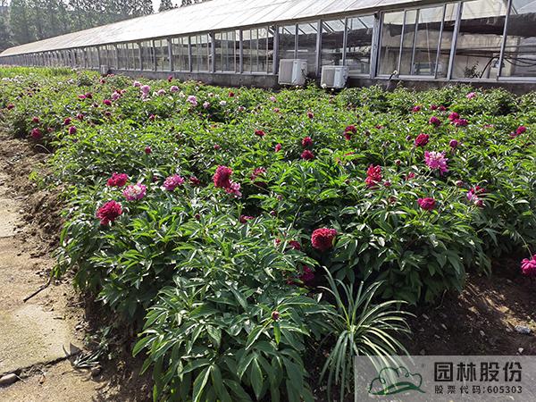 彩运网(中国游)官方网站