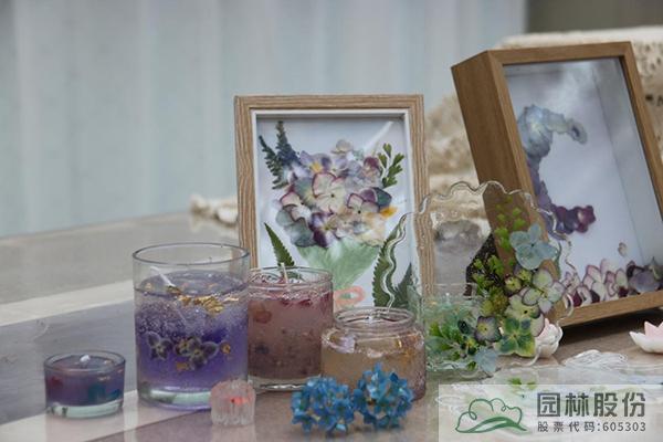 彩运网(中国游)官方网站